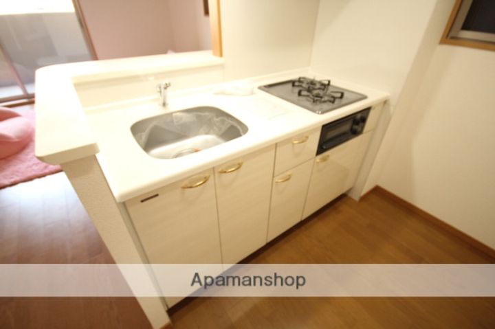 広島県広島市中区宝町の賃貸マンションのキッチン
