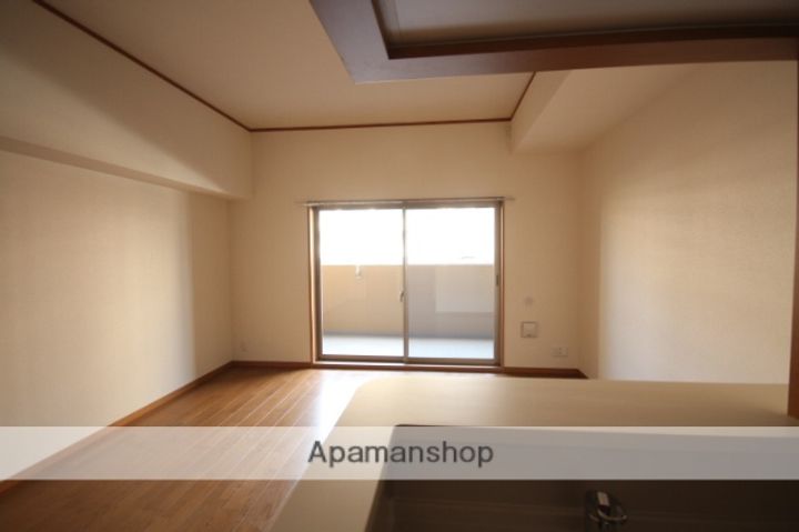 広島県広島市中区宝町の賃貸マンションの内装