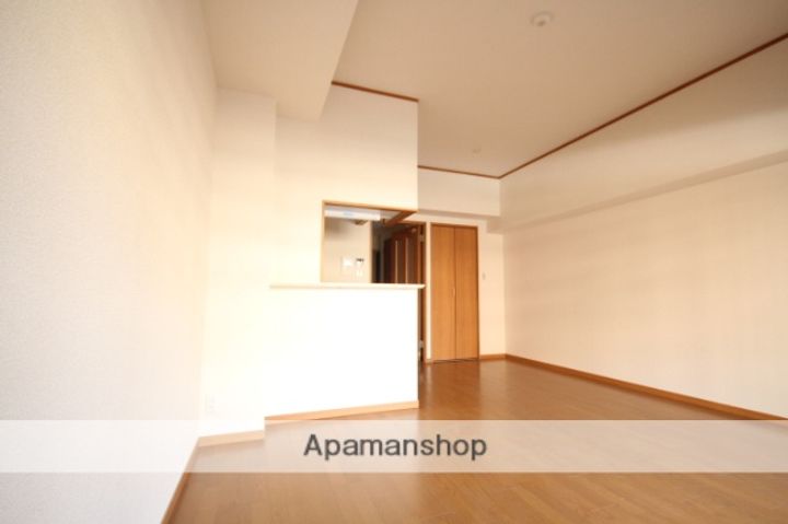 広島県広島市中区宝町の賃貸マンションの内装