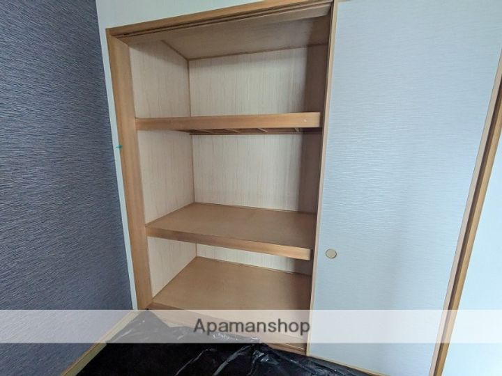 広島県広島市中区加古町の賃貸マンションの内装