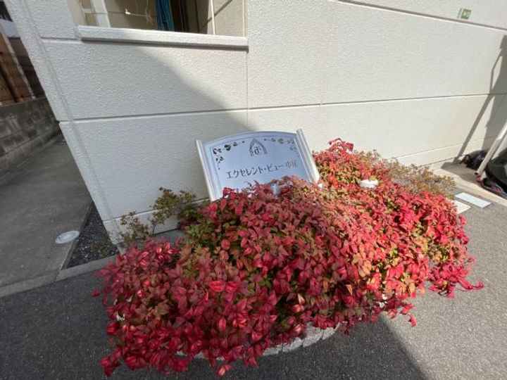 エクセレント・ビュー中尾の外観