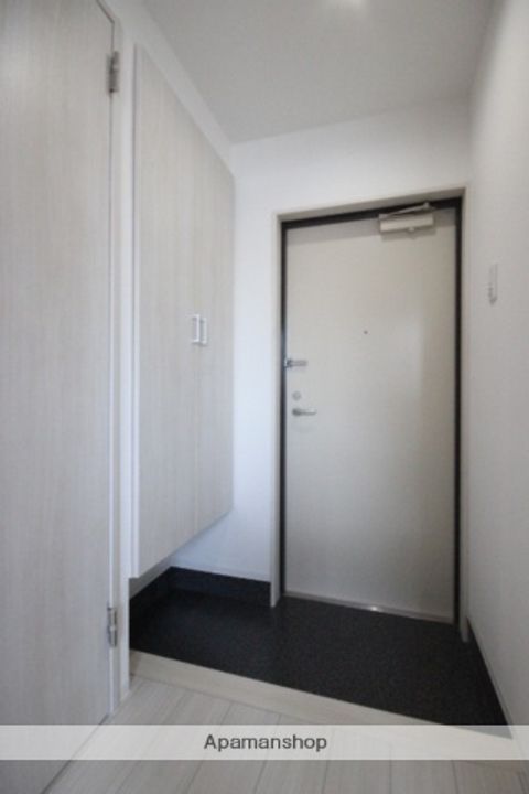 広島県広島市西区南観音4丁目の賃貸マンションの玄関