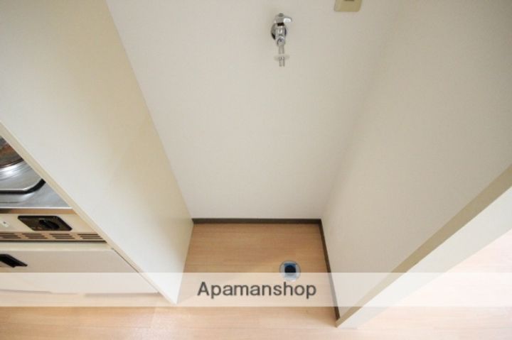 広島県広島市中区吉島新町2丁目の賃貸マンションの内装