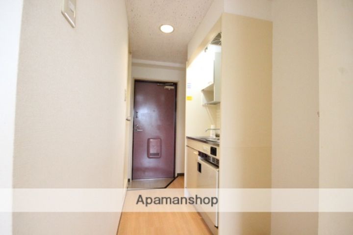 広島県広島市中区吉島新町2丁目の賃貸マンションの内装