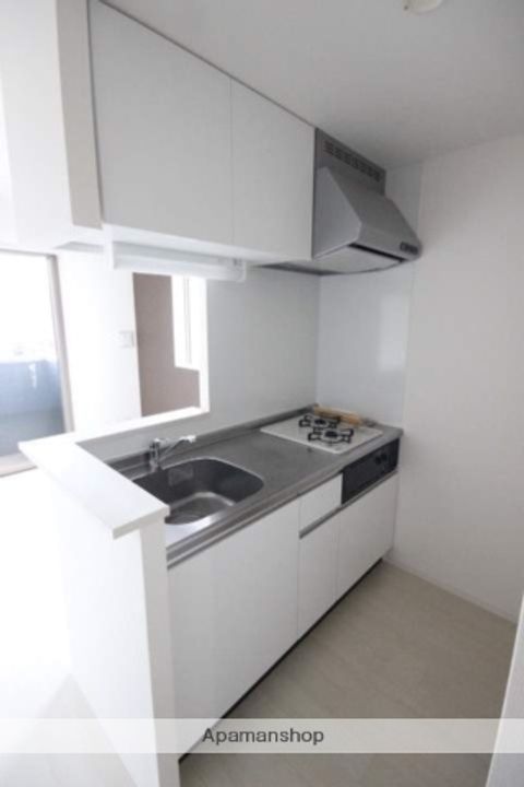 広島県広島市西区古江西町の賃貸マンションのキッチン