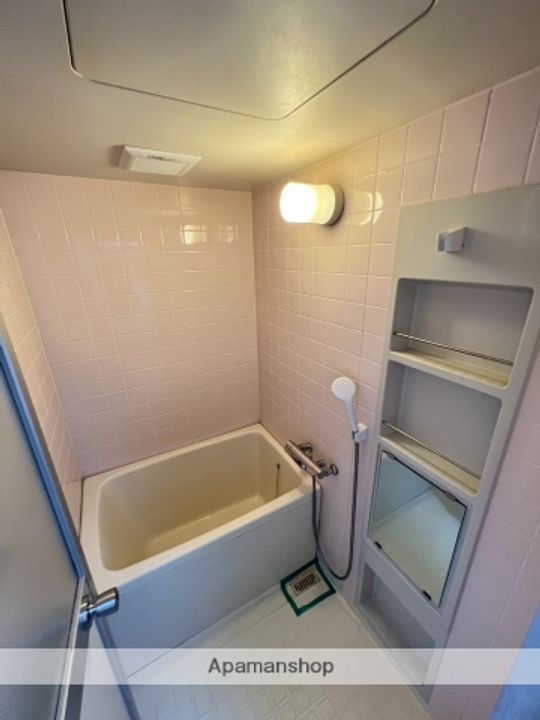 広島県広島市安佐南区緑井8丁目の賃貸マンションの風呂