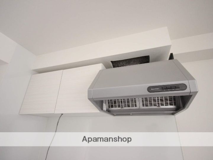 広島県廿日市市阿品3丁目の賃貸アパートの内装