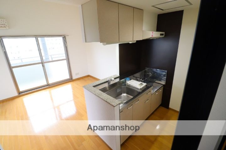 広島県広島市西区井口5丁目の賃貸マンションのキッチン