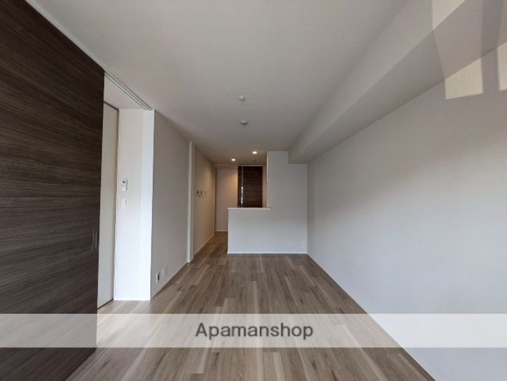 広島県広島市南区翠5丁目の賃貸マンションの居間