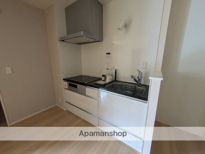 広島県広島市南区段原4丁目の賃貸アパートのキッチン