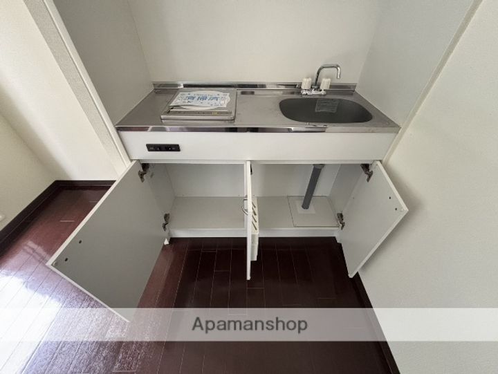 広島県広島市安佐南区大町西3丁目の賃貸マンションの内装