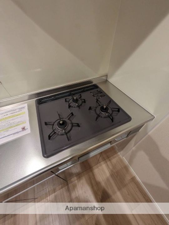 広島県広島市西区庚午中3丁目の賃貸マンションの内装