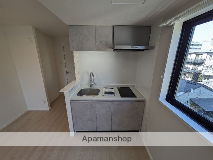 広島県広島市中区吉島町の賃貸マンションのキッチン