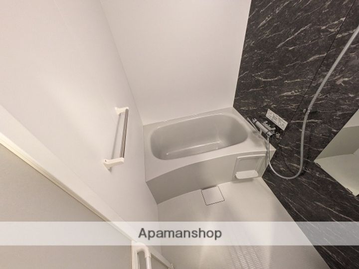 広島県広島市中区国泰寺町2丁目の賃貸マンションの風呂