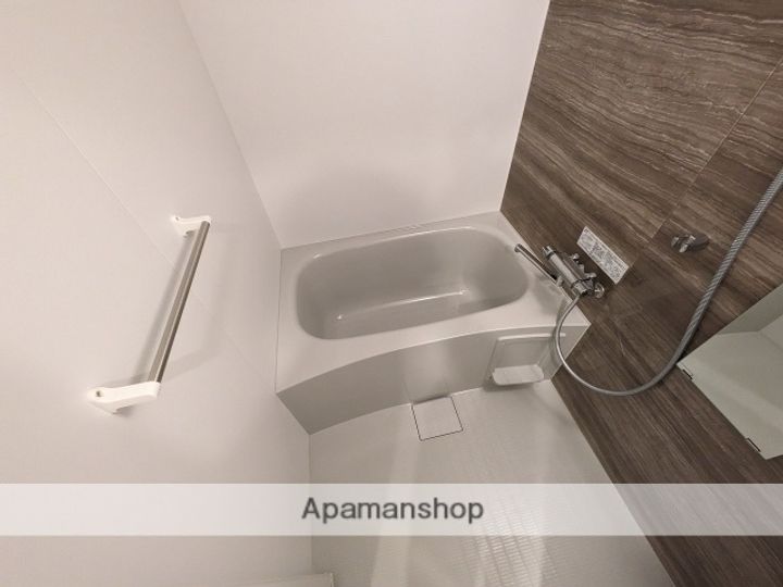 広島県広島市中区国泰寺町2丁目の賃貸マンションの風呂