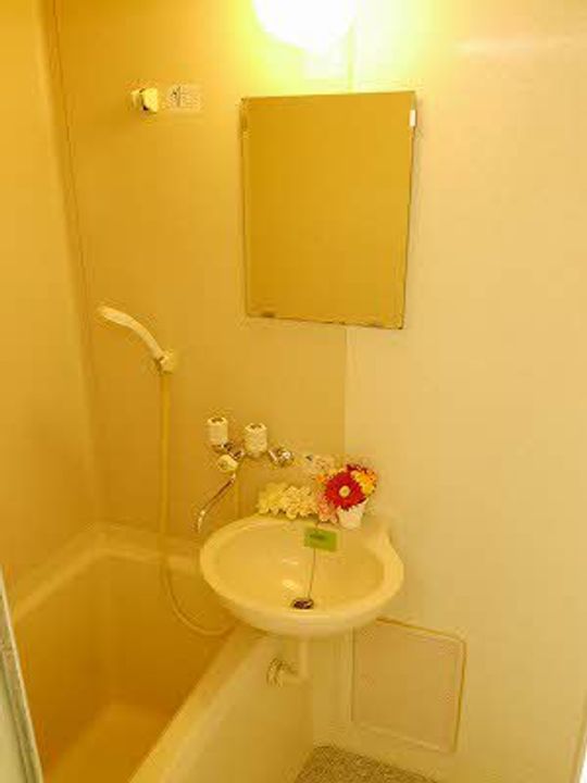 広島県広島市中区光南3丁目の賃貸アパートの居間