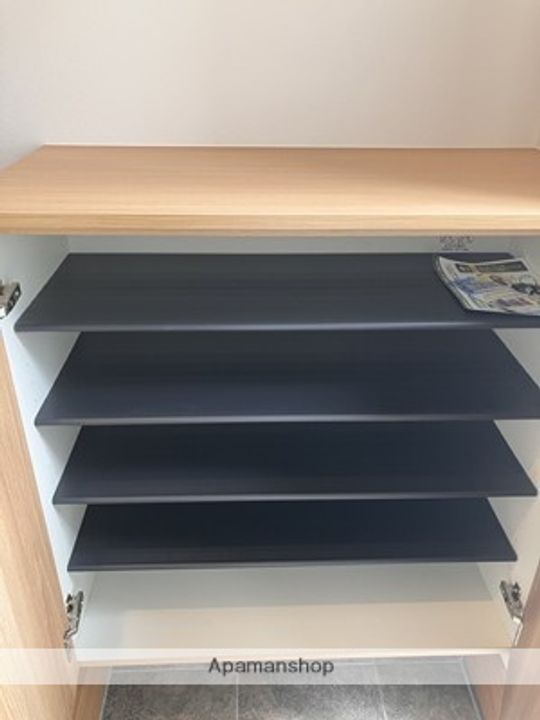 広島県広島市西区井口明神3丁目の賃貸アパートの内装