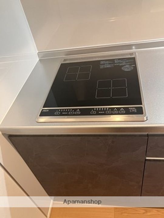 広島県広島市西区井口明神3丁目の賃貸アパートの内装