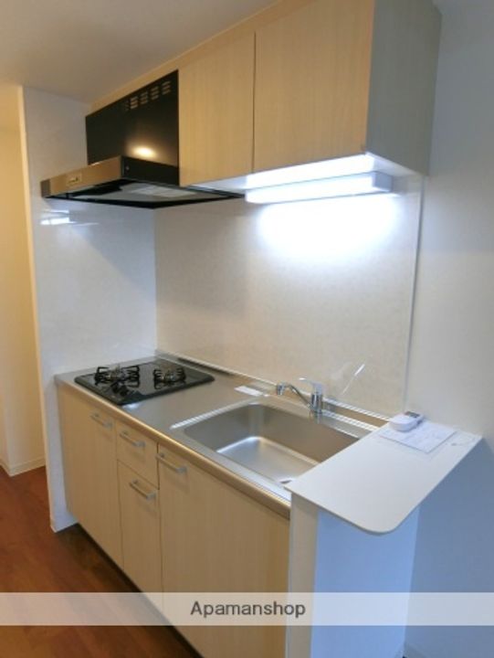 広島県広島市安佐南区大塚西3丁目の賃貸マンションのキッチン