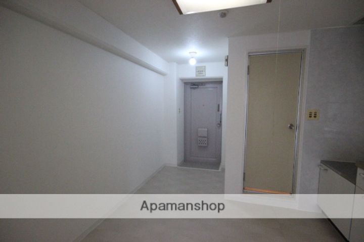 広島県広島市中区大手町3丁目の賃貸マンション203の玄関