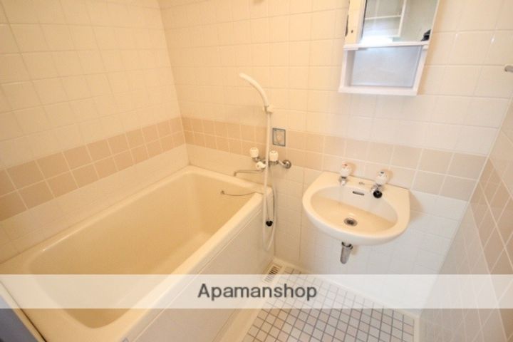 広島県広島市中区西十日市町の賃貸マンションの風呂