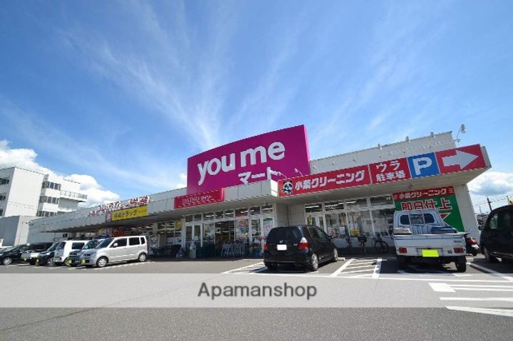 広島県東広島市八本松東6丁目の賃貸アパートの周辺
