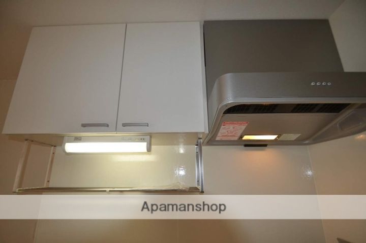 コスモポリス下見B棟306の内装