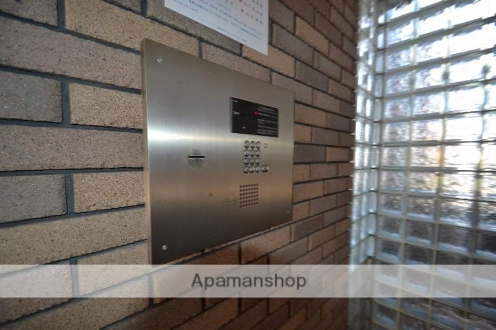 CAMELLIA302のその他画像