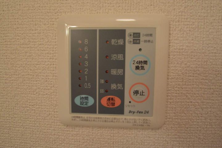 カメリアCのその他画像