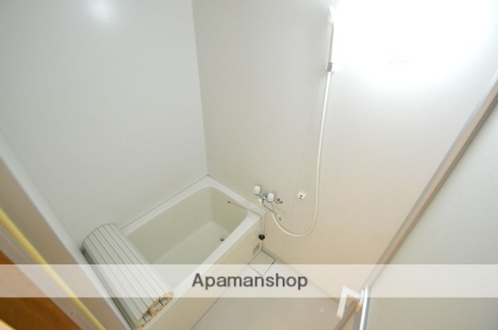 ハイコンスビルⅡ301の風呂