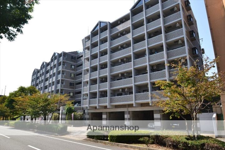 スカイレジェンド517の外観