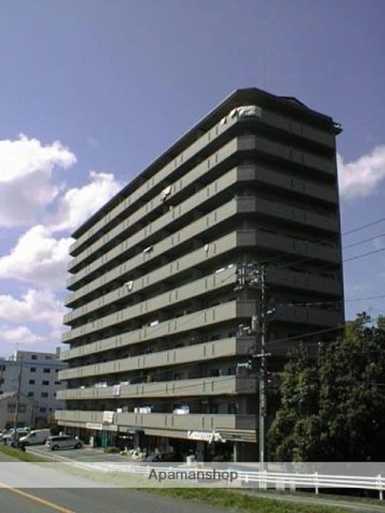 広島県広島市西区竜王町の賃貸マンションの外観