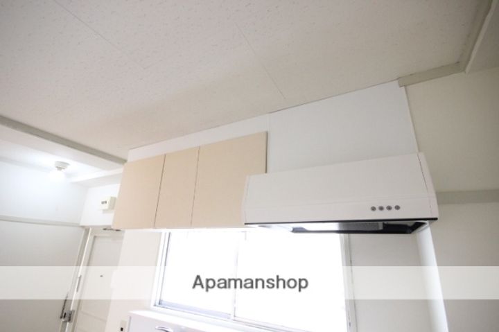 広島県広島市西区草津東2丁目の賃貸マンションの内装