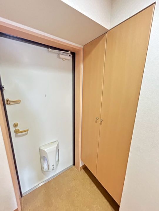 広島県広島市西区中広町2丁目の賃貸マンションの玄関