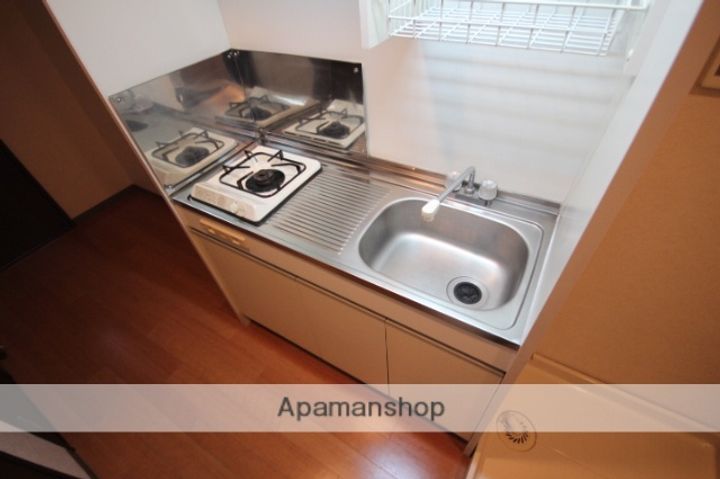 広島県広島市中区千田町3丁目の賃貸マンション203のキッチン