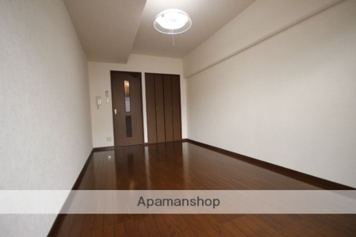 広島県広島市中区千田町3丁目の賃貸マンションの居間