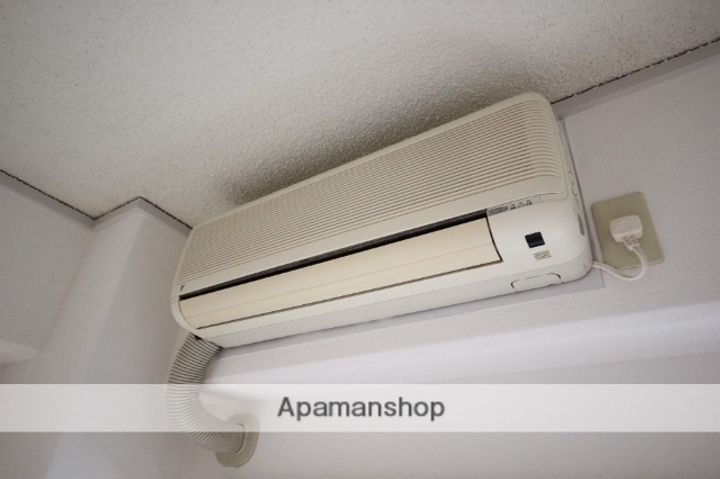 ネオデラサンテのその他画像