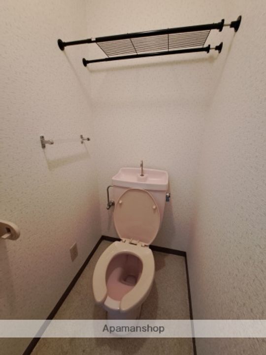 ネオデラサンテのその他画像