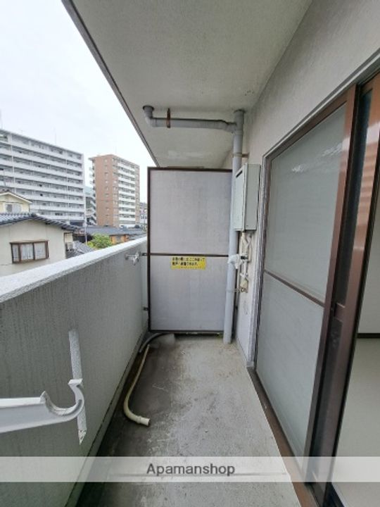 ネオデラサンテのその他画像