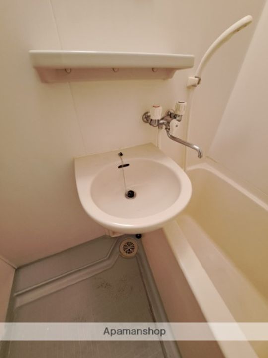 ネオデラサンテのその他画像