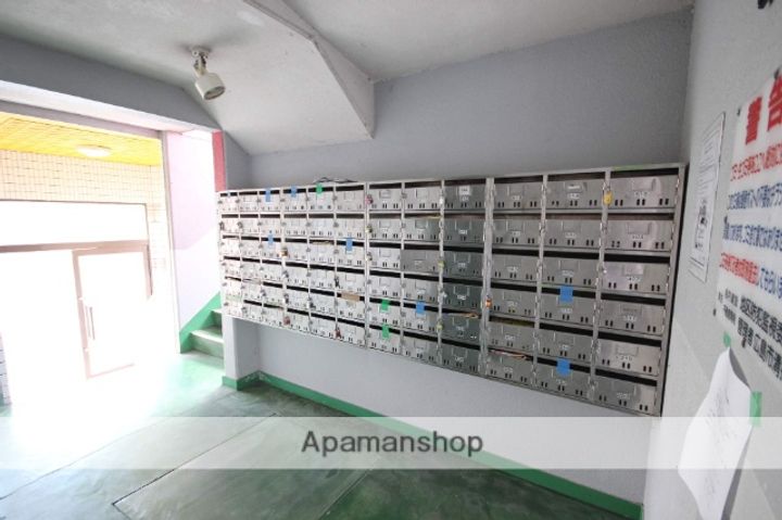 ネオデラサンテのその他画像