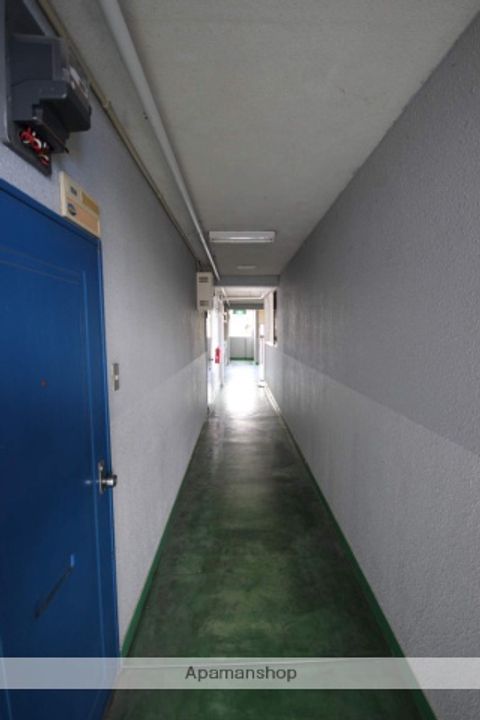 ネオデラサンテのその他画像