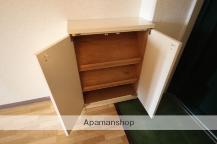 ネオデラサンテのその他画像