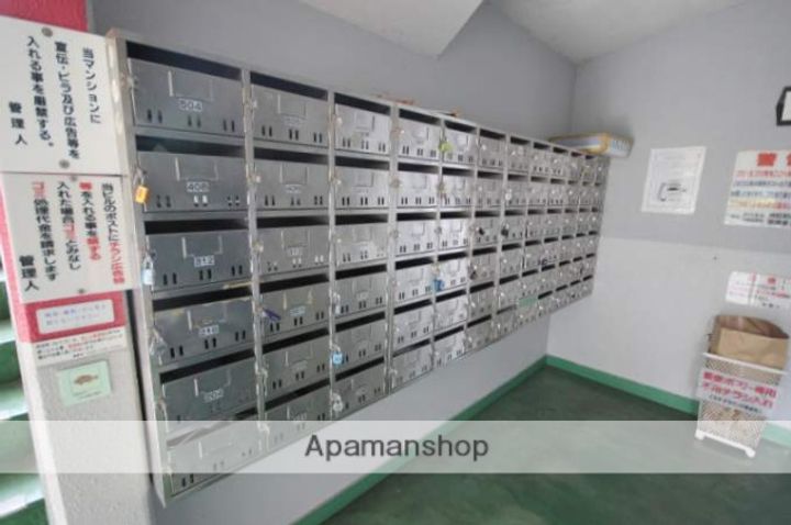 ネオデラサンテのその他画像