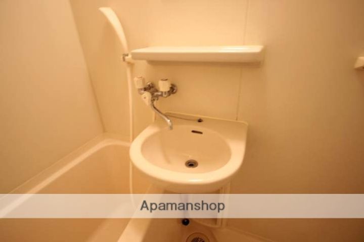 ネオデラサンテのその他画像