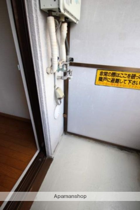 ネオデラサンテのその他画像