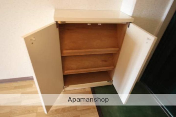 ネオデラサンテのその他画像