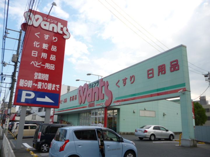 グレイスの周辺