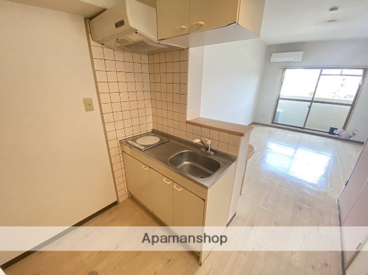 リカ上安103のキッチン