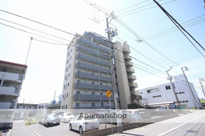 フレーバーの外観